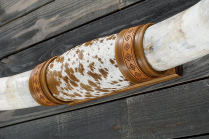 4' 11" Longhorn Wall Mount #353