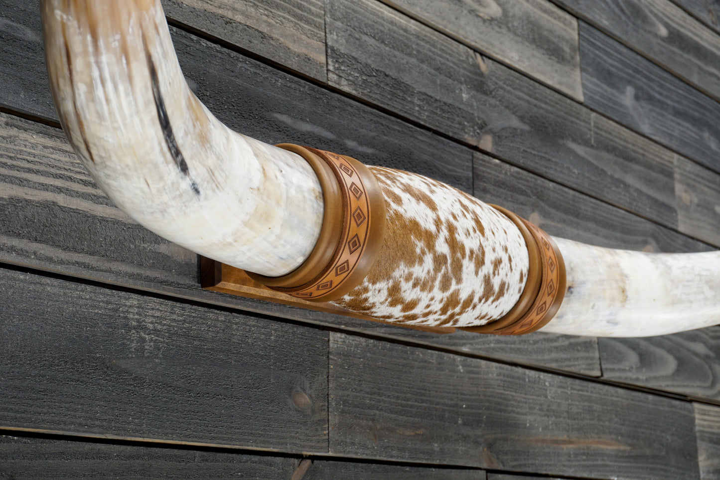 4' 11" Longhorn Wall Mount #353