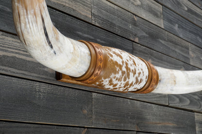 4' 11" Longhorn Wall Mount #353