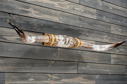 5' 3" Longhorn Wall Mount #373