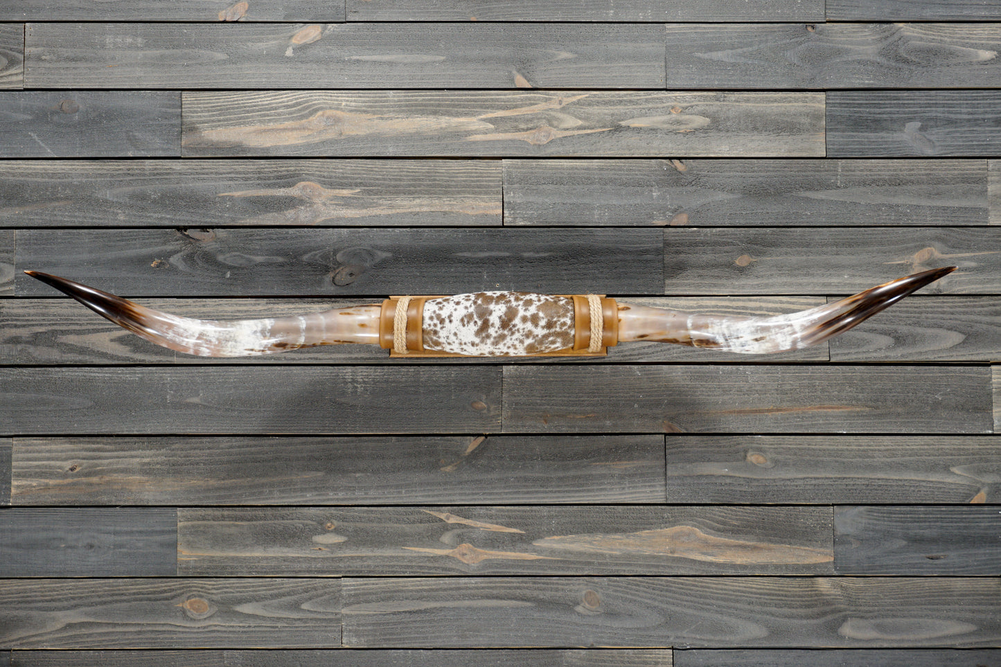 5' 3" Longhorn Wall Mount #373