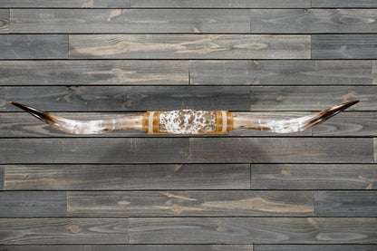 5' 3" Longhorn Wall Mount #373