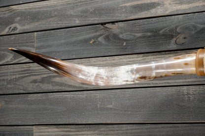 5' 3" Longhorn Wall Mount #373