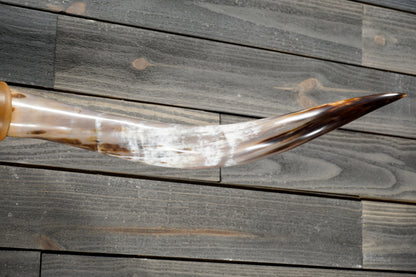 5' 3" Longhorn Wall Mount #373