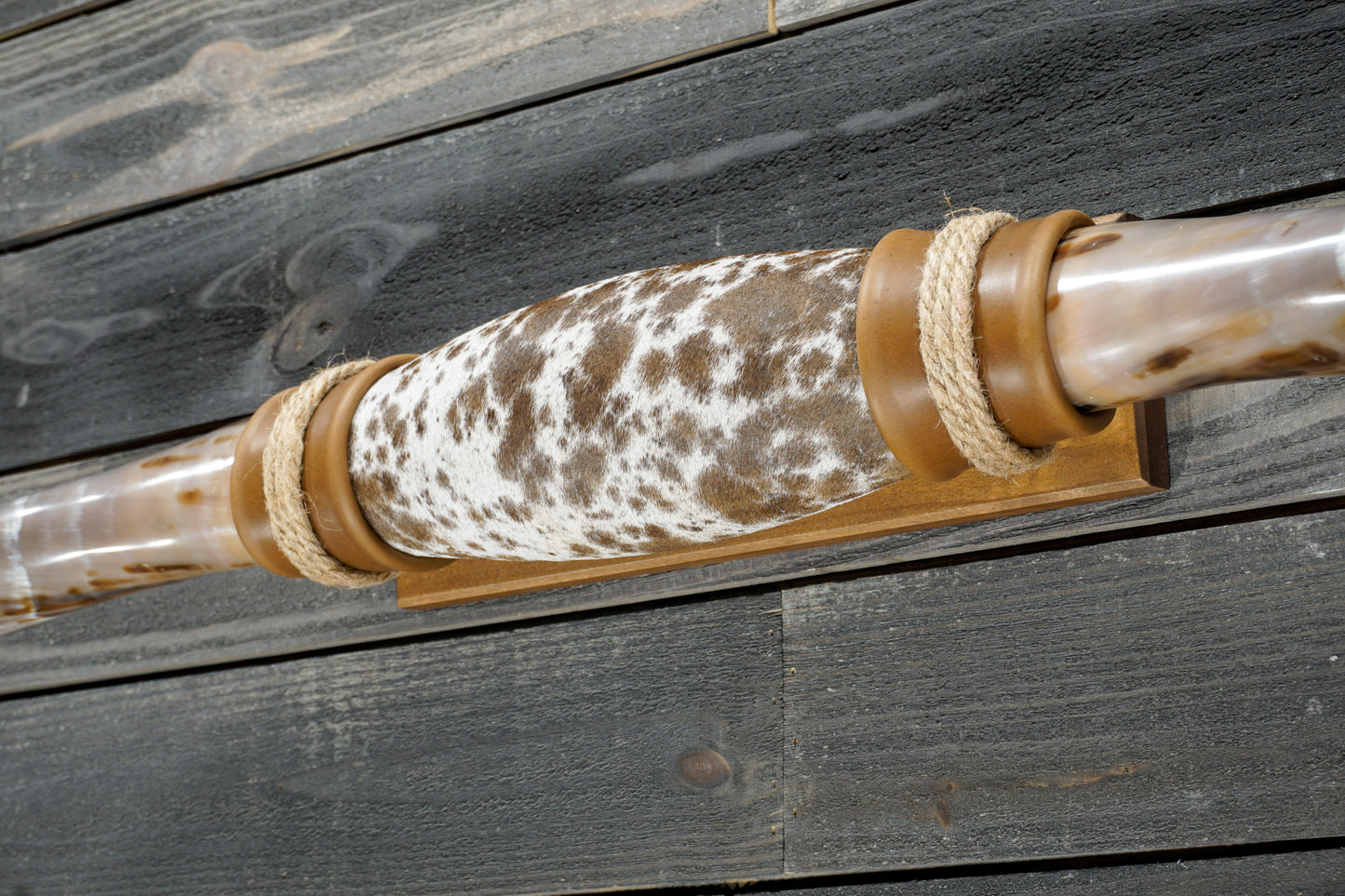 5' 3" Longhorn Wall Mount #373