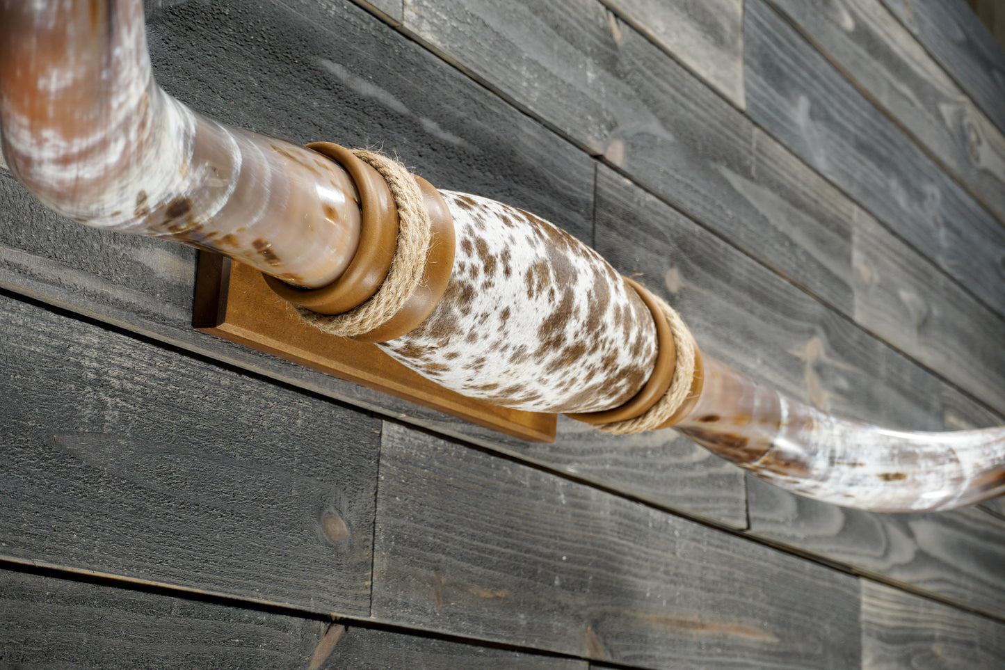 5' 3" Longhorn Wall Mount #373