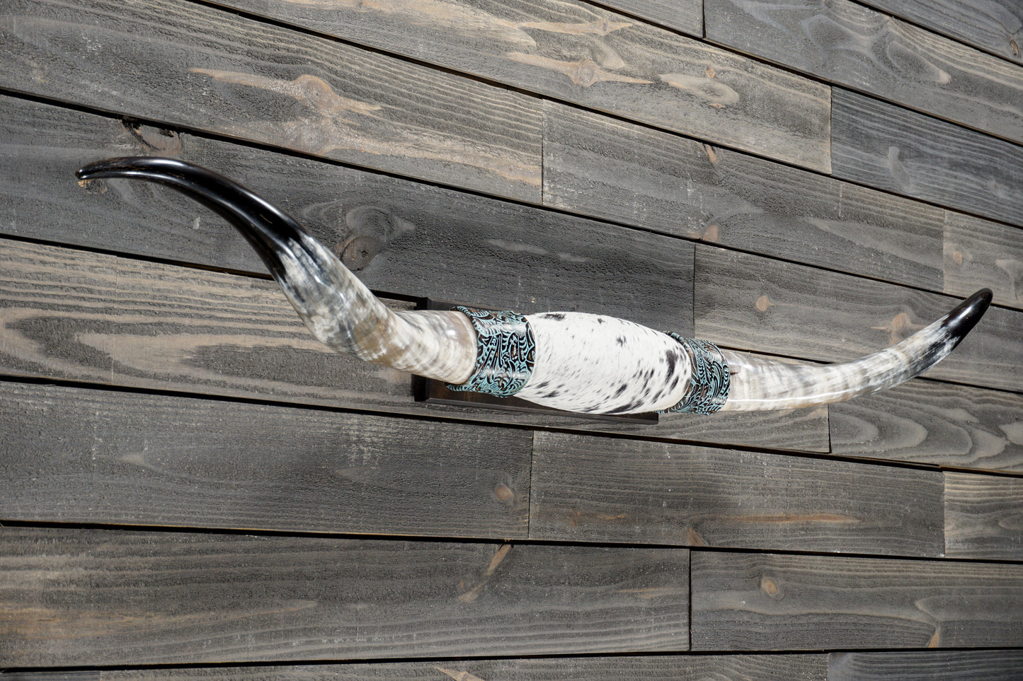 5' 1" Longhorn Wall Mount #379