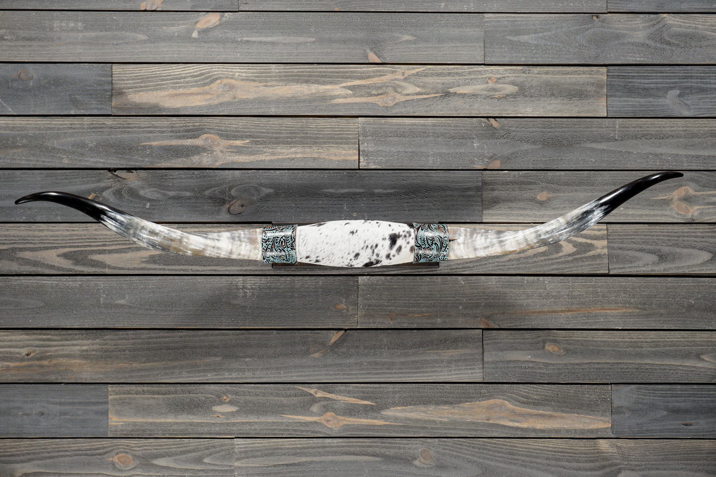 5' 1" Longhorn Wall Mount #379