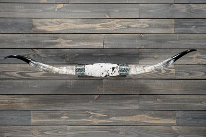 5' 1" Longhorn Wall Mount #379