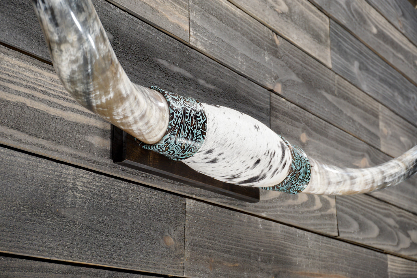 5' 1" Longhorn Wall Mount #379