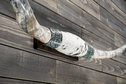 5' 1" Longhorn Wall Mount #379