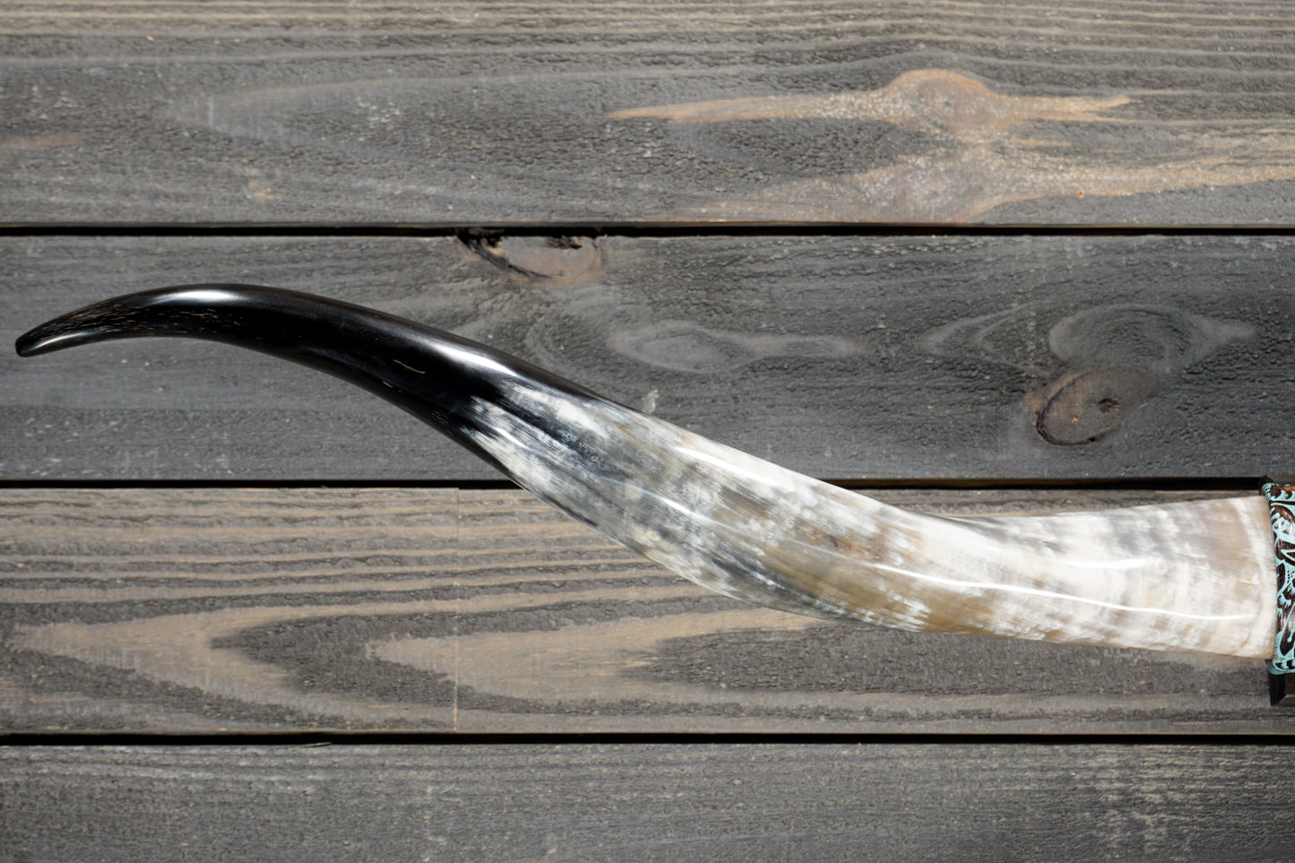 5' 1" Longhorn Wall Mount #379