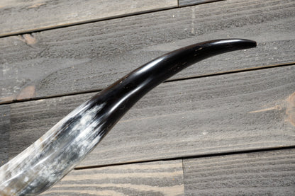 5' 1" Longhorn Wall Mount #379