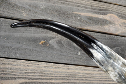5' 1" Longhorn Wall Mount #379