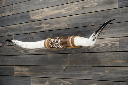 5' 1" Longhorn Wall Mount #279