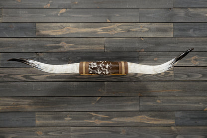 5' 1" Longhorn Wall Mount #279