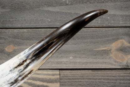 5' 1" Longhorn Wall Mount #279