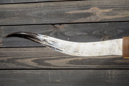 5' 1" Longhorn Wall Mount #279