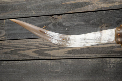 4' 6" Longhorn Wall Mount #283