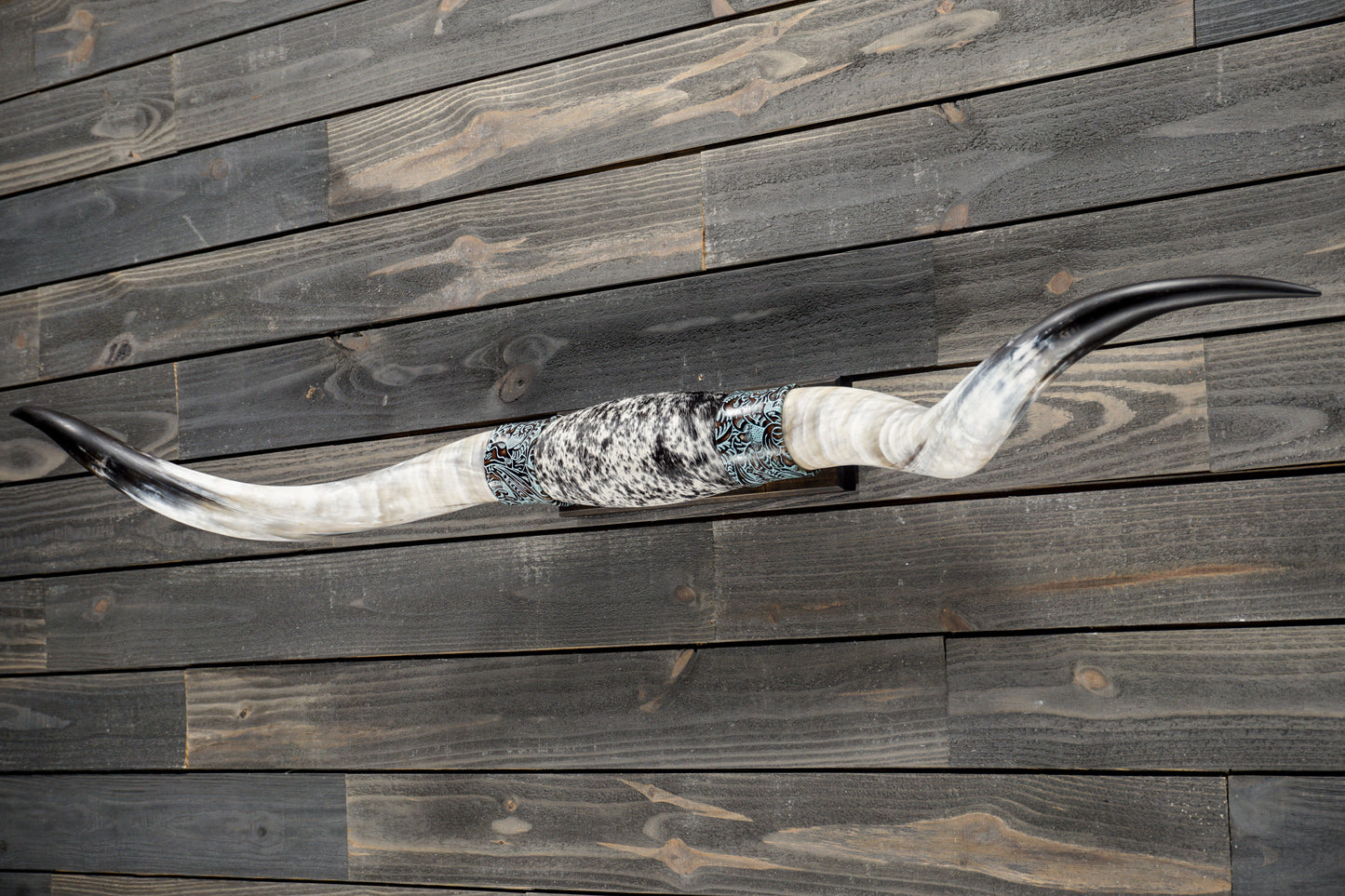 5' 8" Longhorn Wall Mount #335