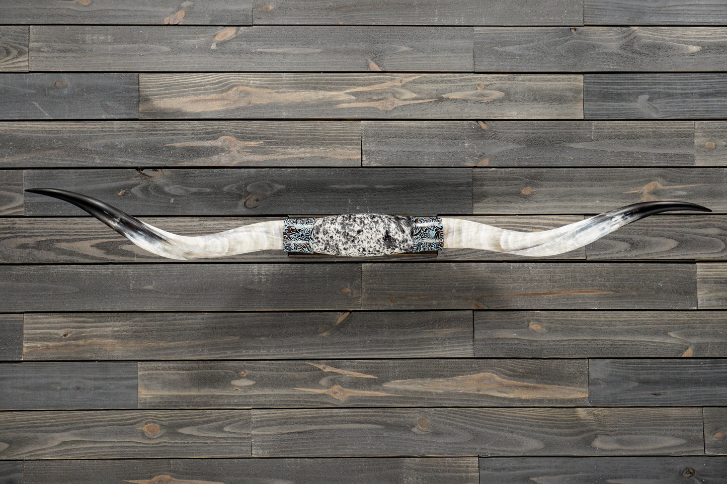 5' 8" Longhorn Wall Mount #335