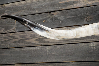 5' 8" Longhorn Wall Mount #335