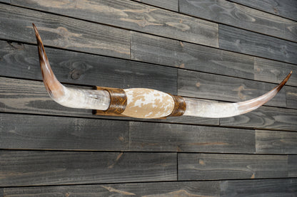 5' 0" Longhorn Wall Mount #356