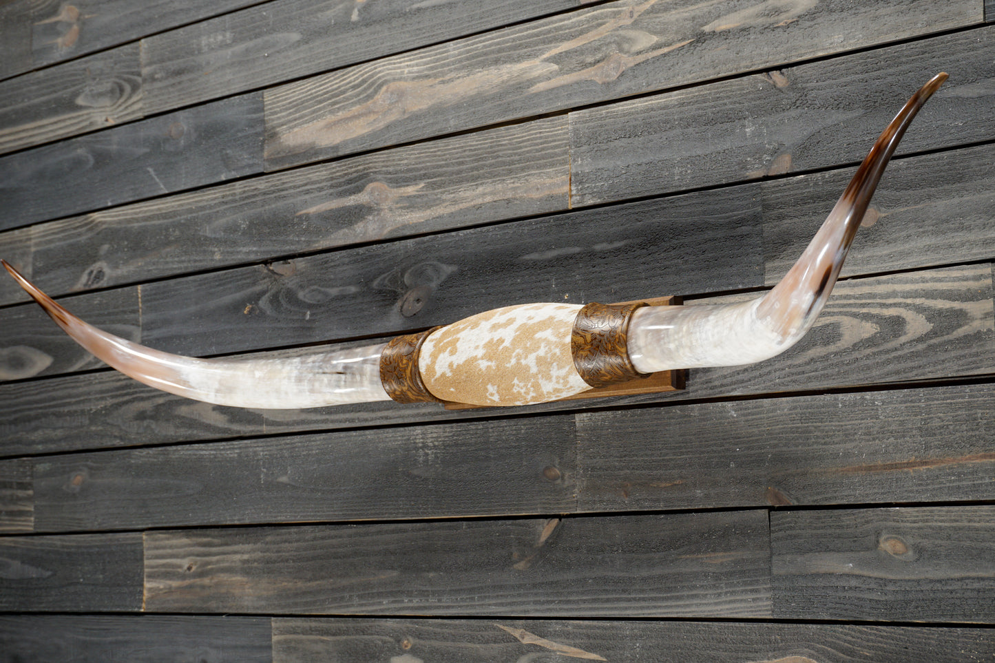 5' 0" Longhorn Wall Mount #356