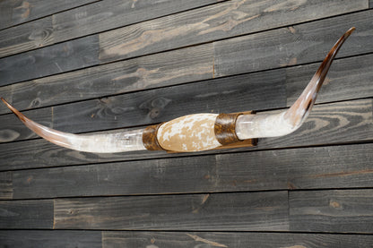 5' 0" Longhorn Wall Mount #356