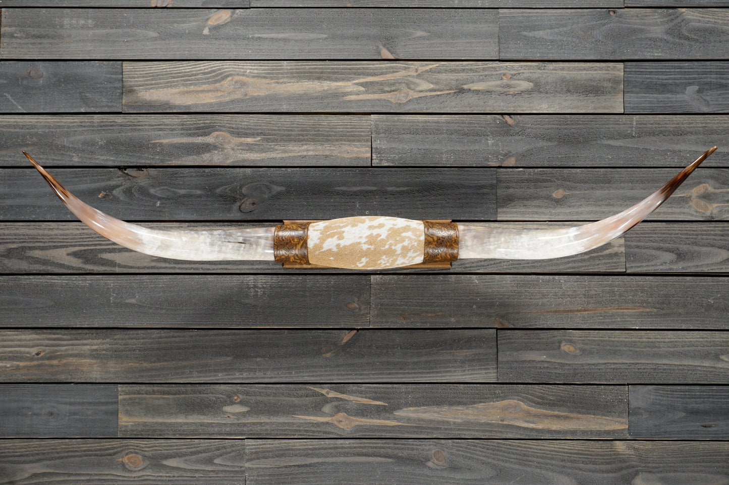 5' 0" Longhorn Wall Mount #356