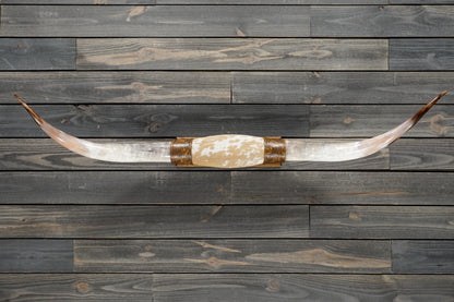 5' 0" Longhorn Wall Mount #356