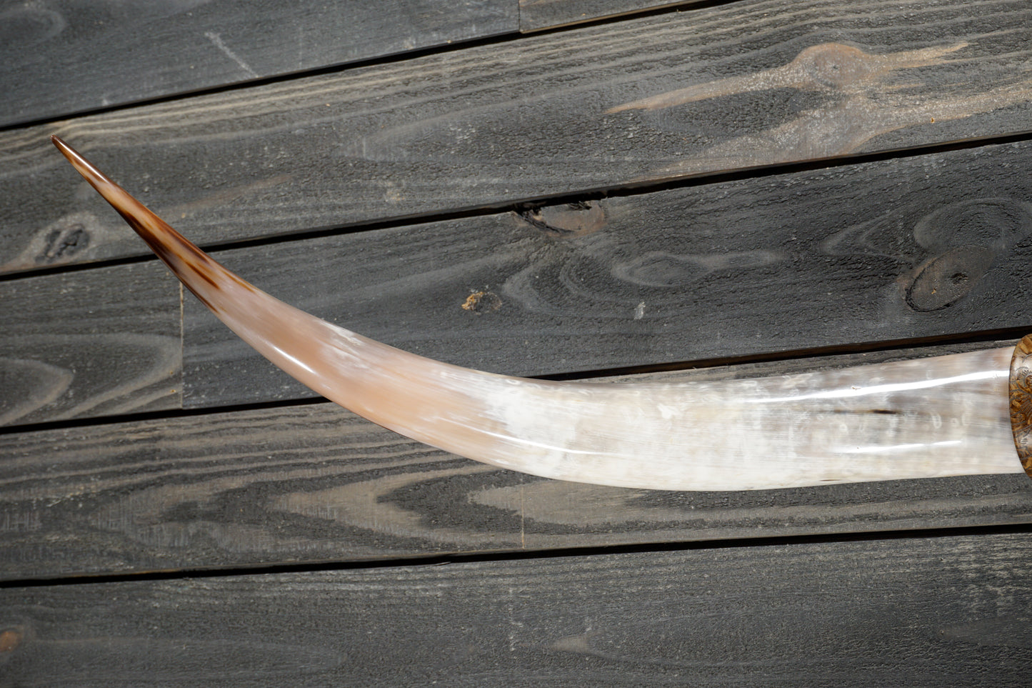 5' 0" Longhorn Wall Mount #356