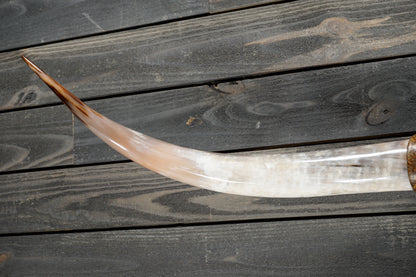 5' 0" Longhorn Wall Mount #356
