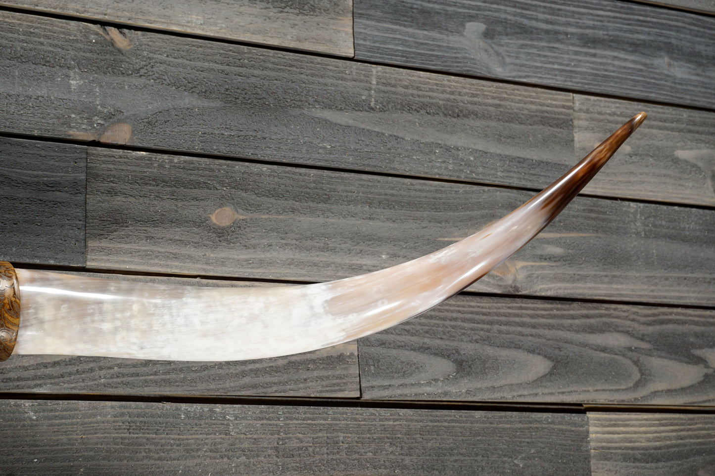 5' 0" Longhorn Wall Mount #356