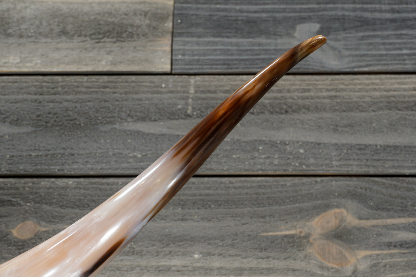 5' 0" Longhorn Wall Mount #356