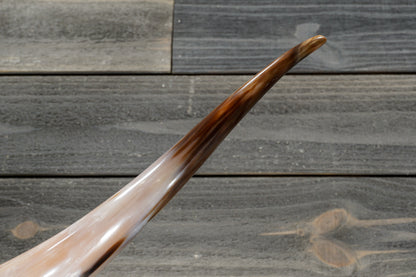 5' 0" Longhorn Wall Mount #356