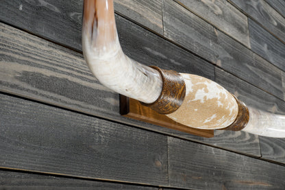 5' 0" Longhorn Wall Mount #356