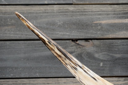 4' 11" Longhorn Wall Mount #375