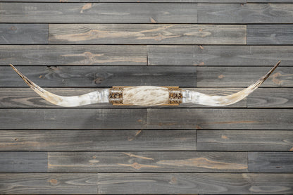 4' 11" Longhorn Wall Mount #375