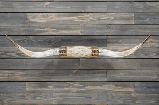 4' 11" Longhorn Wall Mount #375