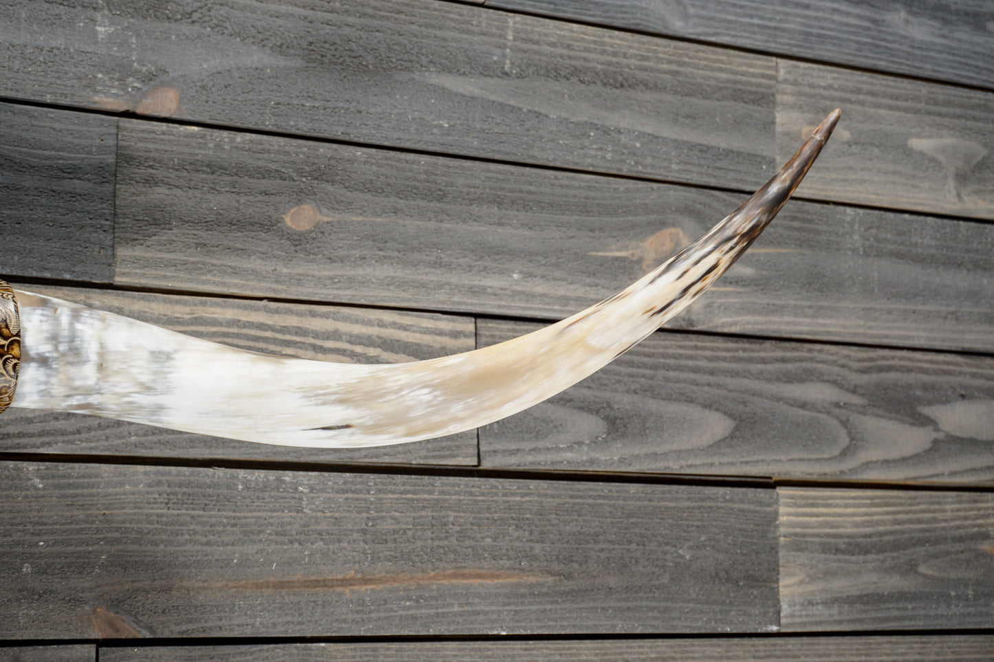 4' 11" Longhorn Wall Mount #375