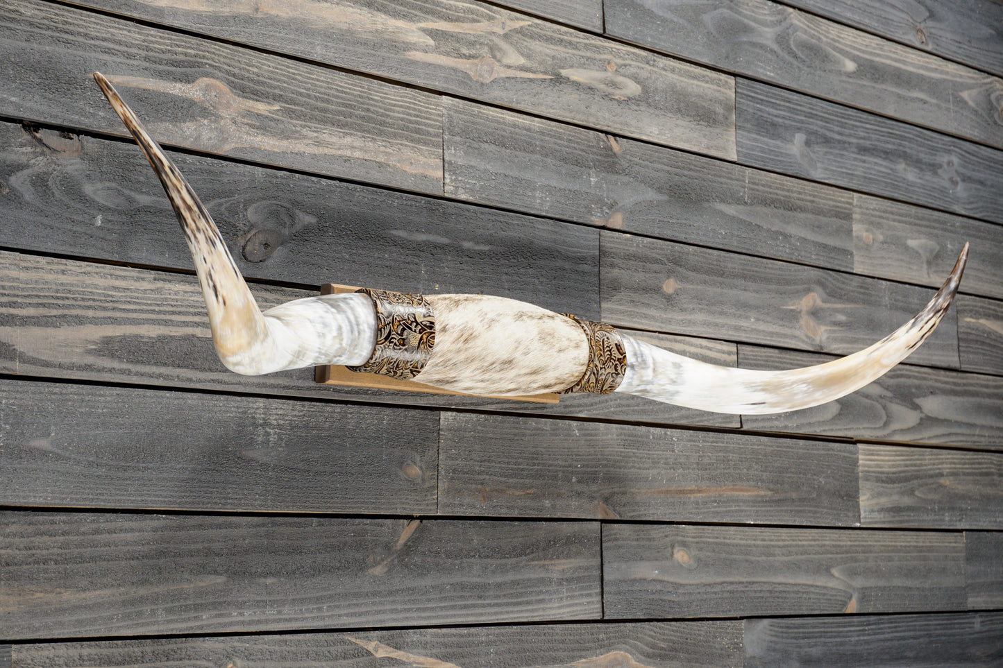 4' 11" Longhorn Wall Mount #375