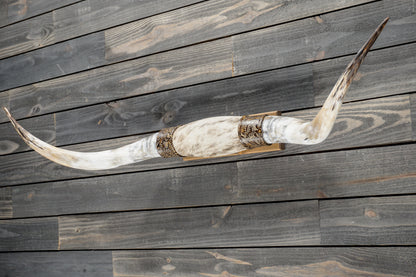 4' 11" Longhorn Wall Mount #375