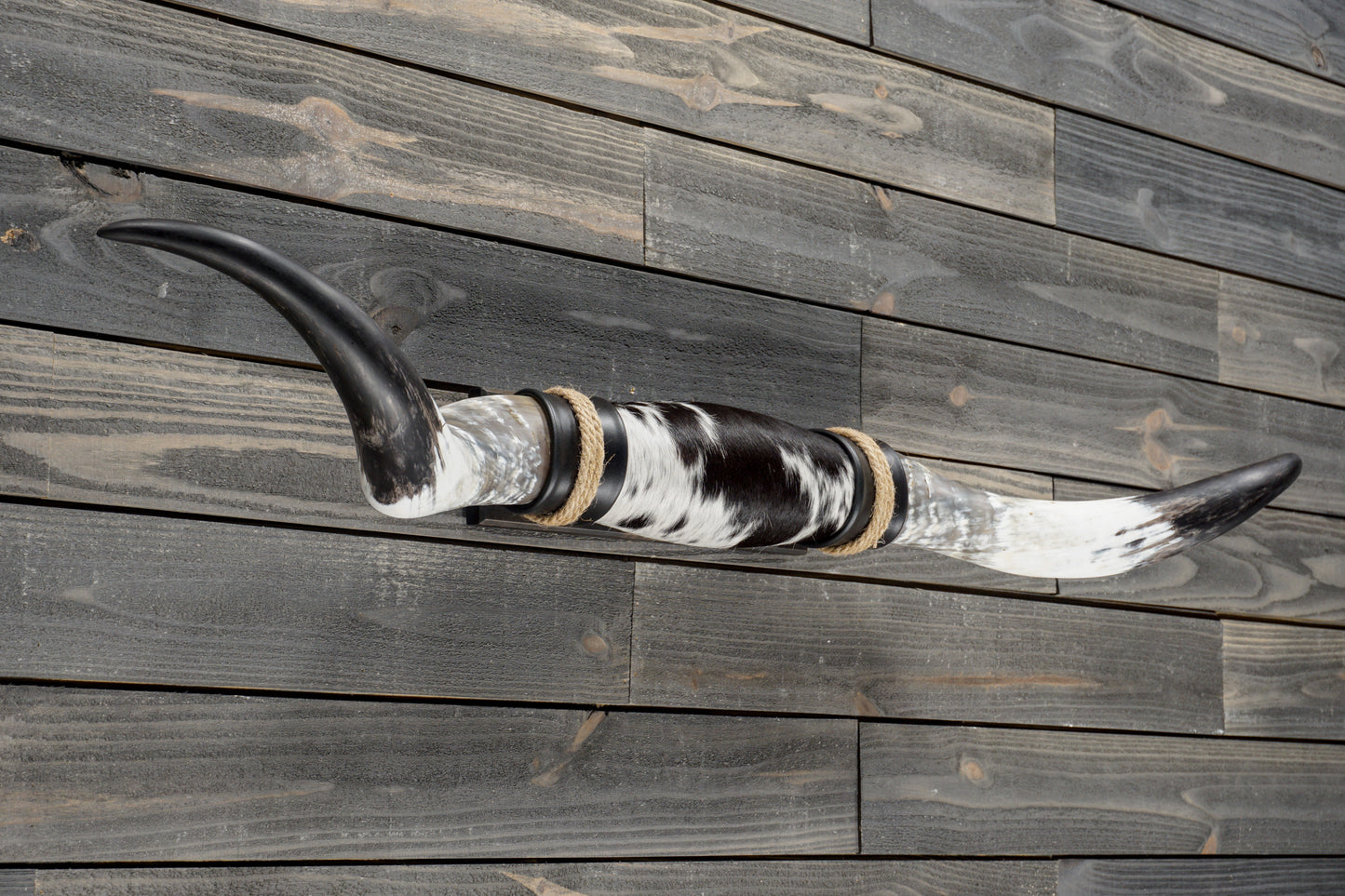 4' 11" Longhorn Wall Mount #384