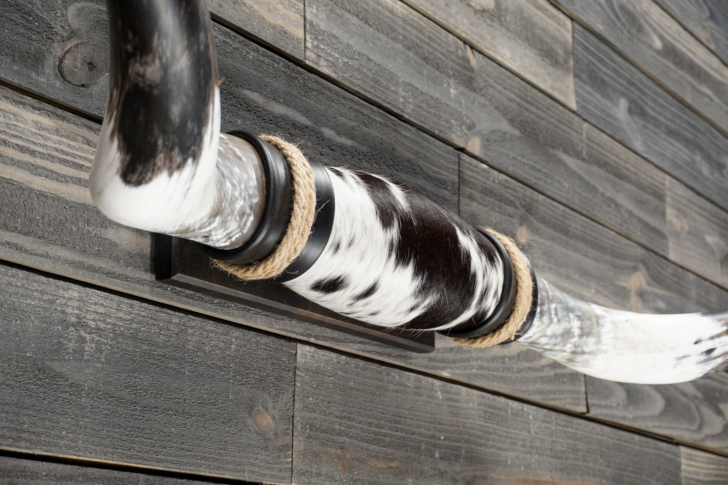 4' 11" Longhorn Wall Mount #384