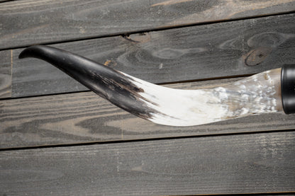 4' 11" Longhorn Wall Mount #384