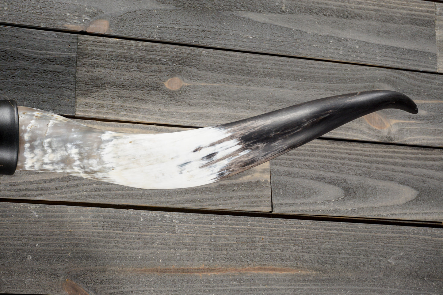 4' 11" Longhorn Wall Mount #384