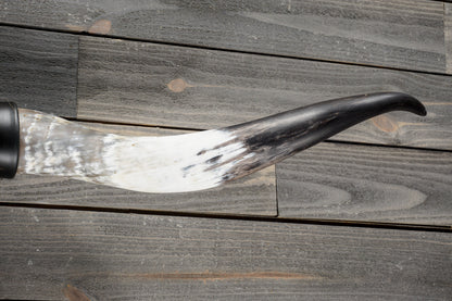 4' 11" Longhorn Wall Mount #384