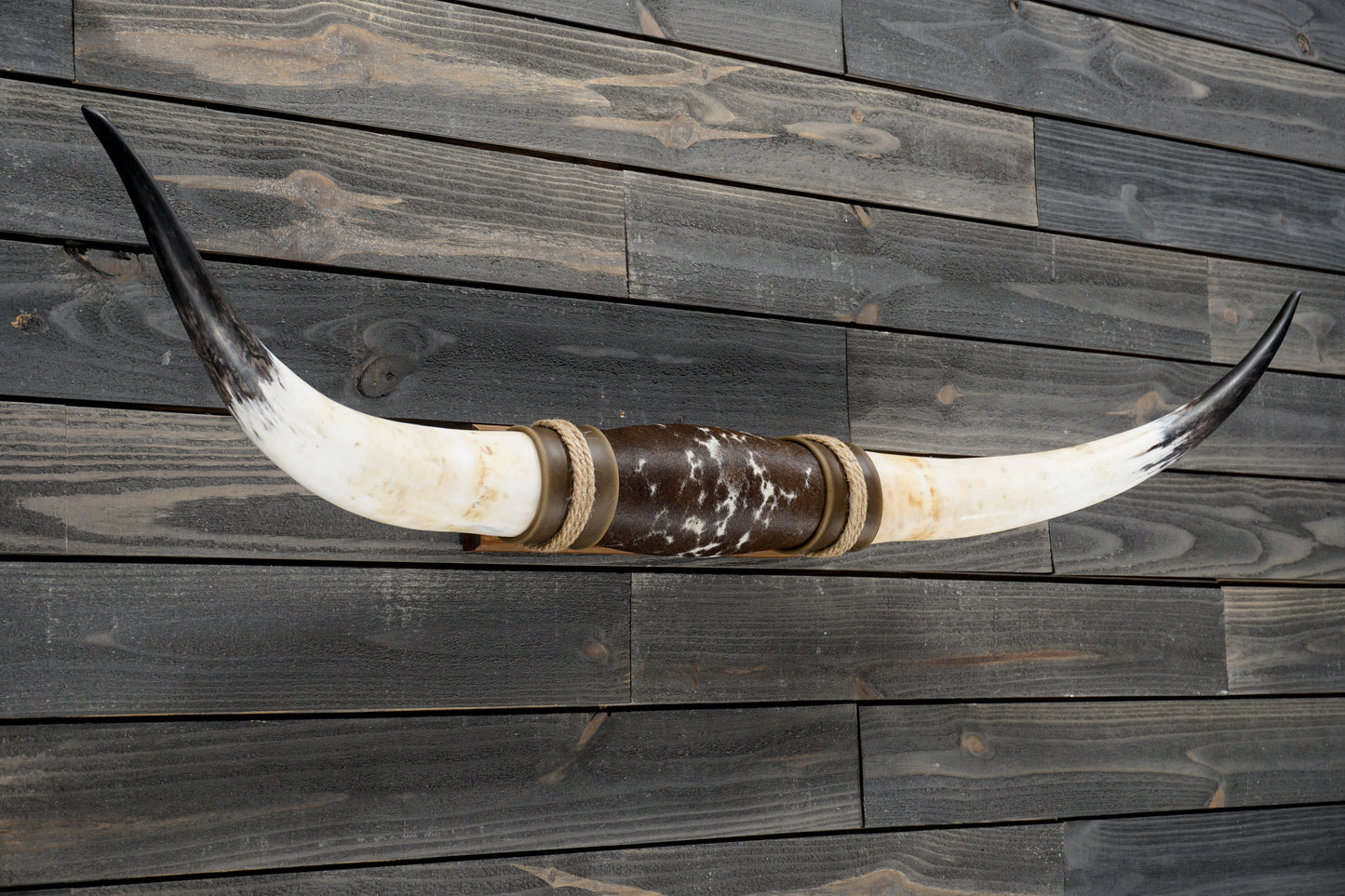 4' 10" Longhorn Wall Mount #360