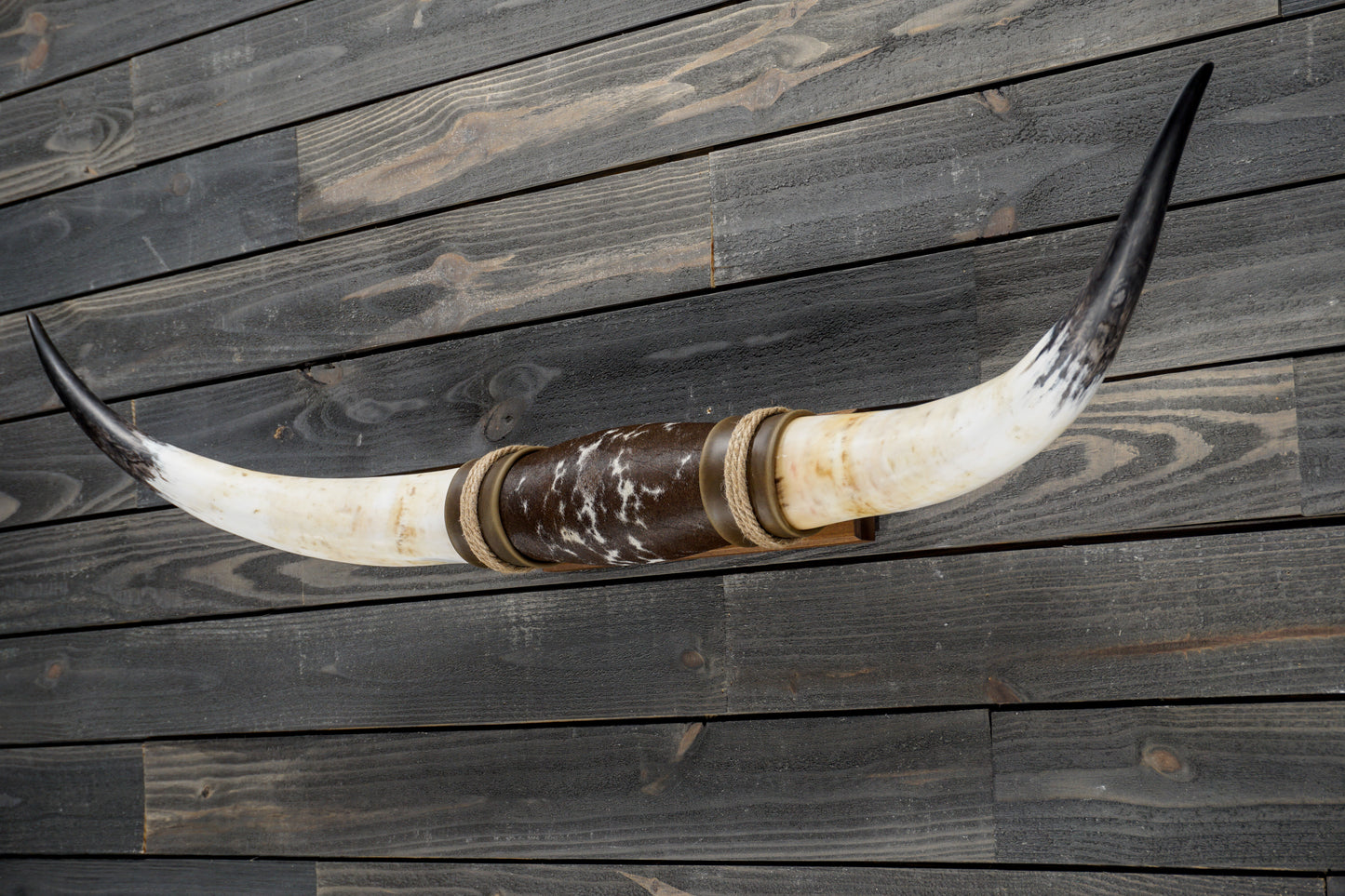4' 10" Longhorn Wall Mount #360